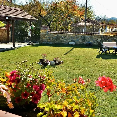 The Village Natsovtsi