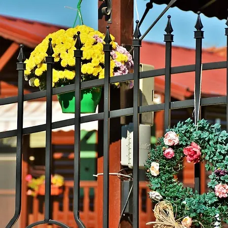 The Village بيت للعطل Natsovtsi