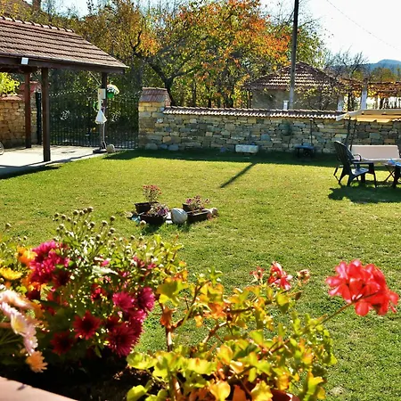The Village