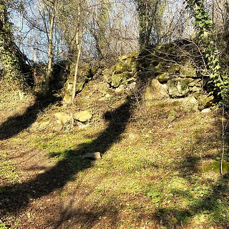 The Village Tatil Evi Natsovtsi
