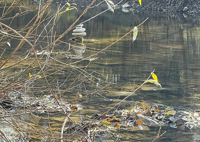 The Village 度假居 Natsovtsi