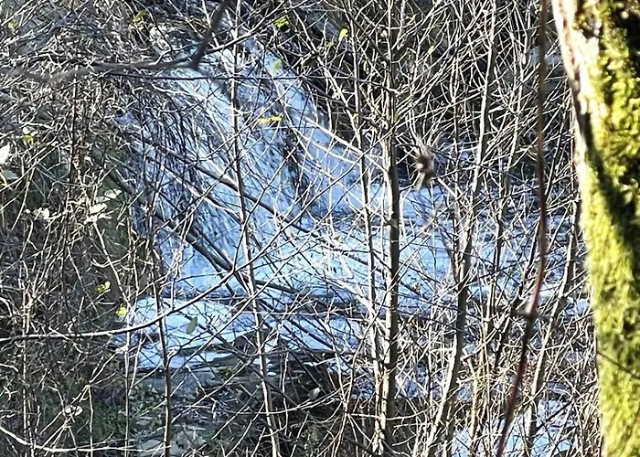 度假居 The Village