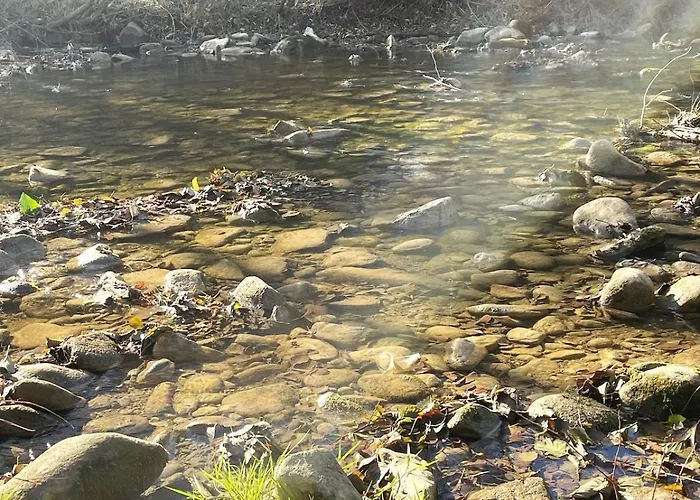 The Village 度假居 Natsovtsi