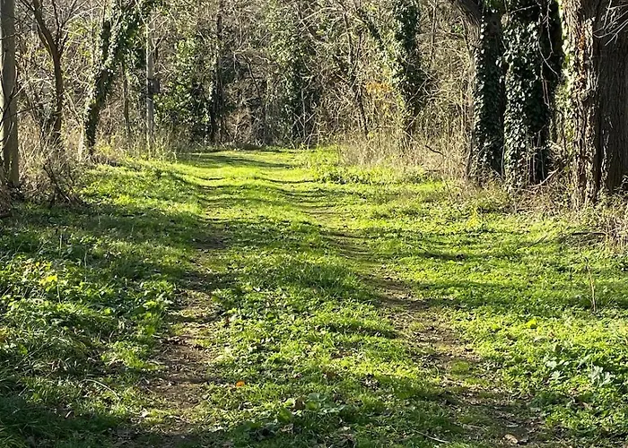 The Village 度假居