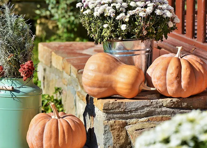 度假居 The Village