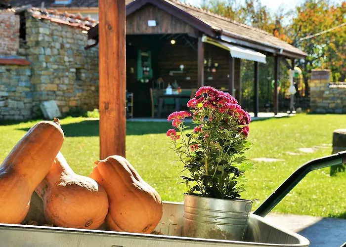 度假居 The Village *